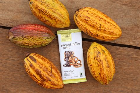 Cacao-pulveri - Kuinka valmistautua maailmanlaajuiseen suklaasatuun?