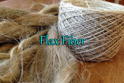  Flax Fiber - Kestävä ja monikäyttöinen materiaali tekstiileistä biokomposiitteihin!