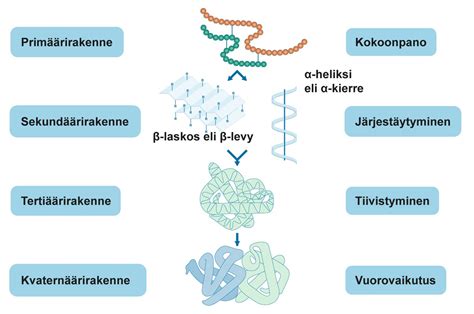  P-tyyppiset polymeerit – vallankumous materiaaliteollisuudessa?